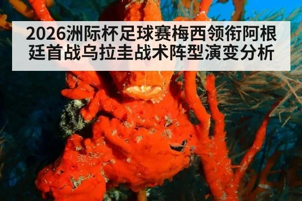 2026洲际杯足球赛梅西领衔阿根廷首战乌拉圭战术阵型演变分析