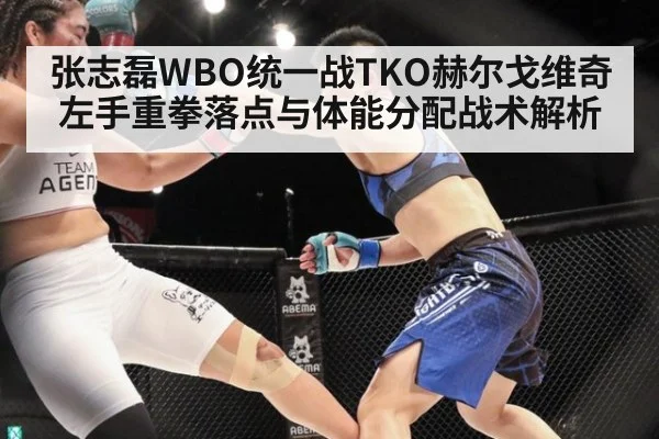张志磊WBO统一战TKO赫尔戈维奇左手重拳落点与体能分配战术解析