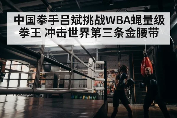 中国拳手吕斌挑战WBA蝇量级拳王 冲击世界第三条金腰带
