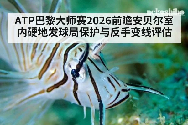 ATP巴黎大师赛2026前瞻安贝尔室内硬地发球局保护与反手变线评估